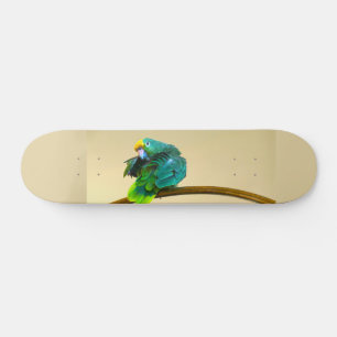 papegaaiendek persoonlijk skateboard