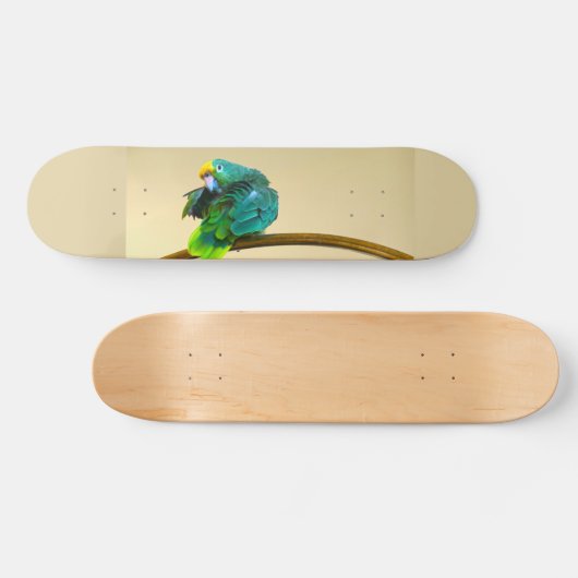 papegaaiendek persoonlijk skateboard (Horizontaal)