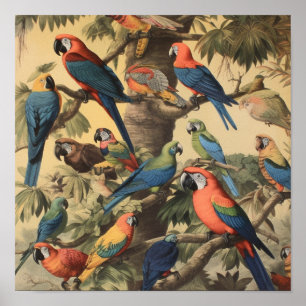 Papegaaienkroonluchter Natuurhistorische Studie Vi Poster