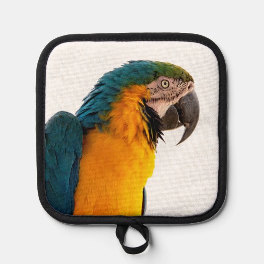 Papegaaiennotities Pannenlap (Voorkant)