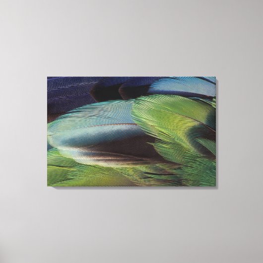 Papegaaienveerpatroonontwerp Canvas Afdruk (Voorkant)