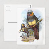  papegaaivogel PE_GC - Briefkaart (Voorkant / Achterkant)