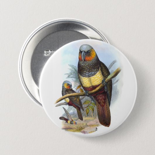 papegaaivogel PE_GC - Ronde Button (Voorkant /achterkant)