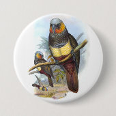 papegaaivogel PE_GC - Ronde Button (Voorkant)