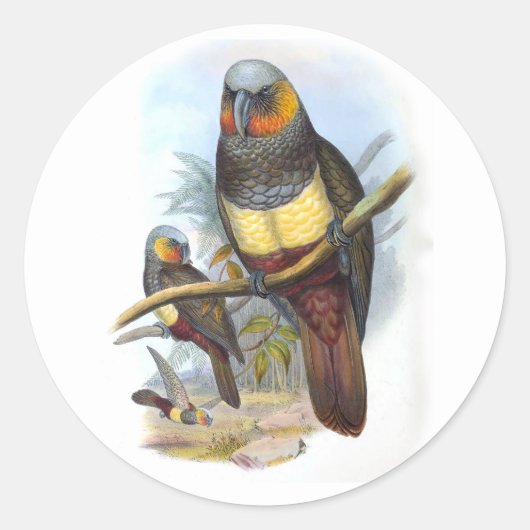 papegaaivogel PE_GC - Sticker (Voorkant)