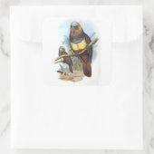 papegaaivogel PE_GC - Sticker (Tas)