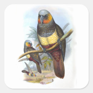 papegaaivogel PE_GC - Sticker