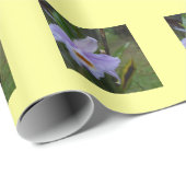 Papel de regalo fotográfico cadeaupapier (Rol Hoek)