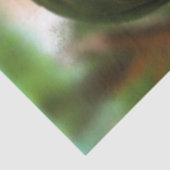 Papel de seda ilustrado profesional tissuepapier (Detail)