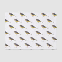 Papel seda con acuarela de lavandera cascadeña