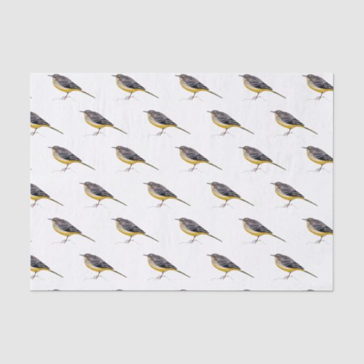 Papel seda con acuarela de lavandera cascadeña tissuepapier (Voorkant)