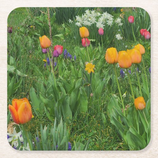 Paper Coaster Kartonnen Onderzetters (Voorkant)