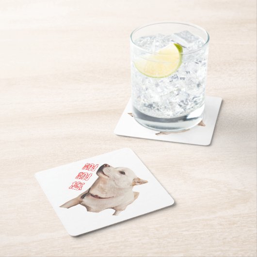 paper coaster of dog kartonnen onderzetters (Insitu)