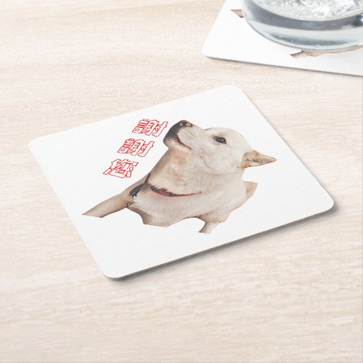 paper coaster of dog kartonnen onderzetters (Schuin)