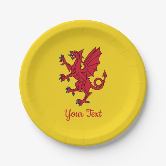 Paper Plate Papieren Bordje (Voorkant)