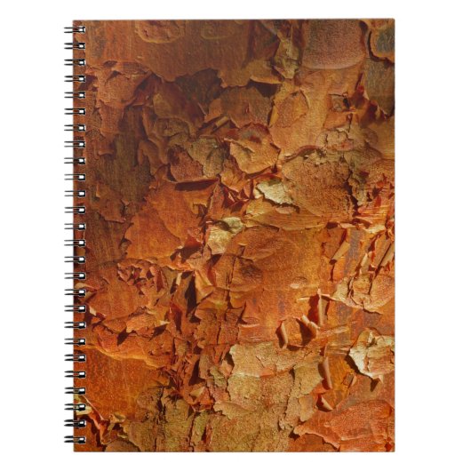 Paperbark Maple-laptop Notitieboek (Voorkant)