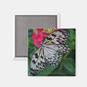 Paperkite Butterfly Magneet (Voorkant / Achterkant)