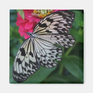 Paperkite Butterfly Magneet
