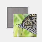 Paperkite Butterfly Magneet (Voorkant / Achterkant)