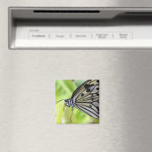 Paperkite Butterfly Magneet (Insitu (Vaatwasser))