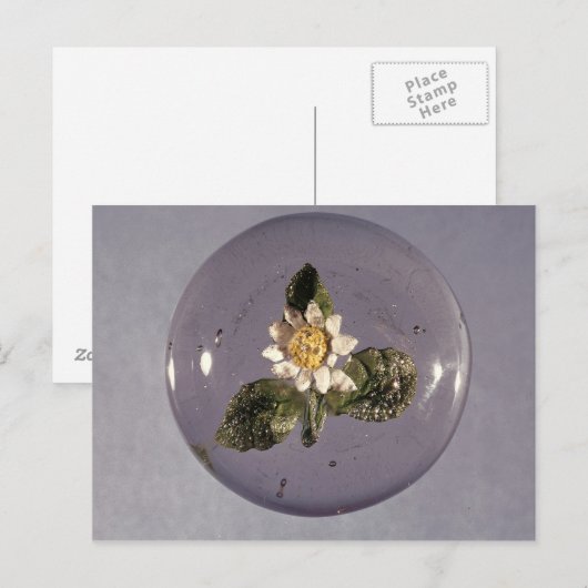 Paperweight, Pantin Workshop, c.1850 Briefkaart (Voorkant / Achterkant)