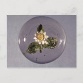 Paperweight, Pantin Workshop, c.1850 Briefkaart (Voorkant)