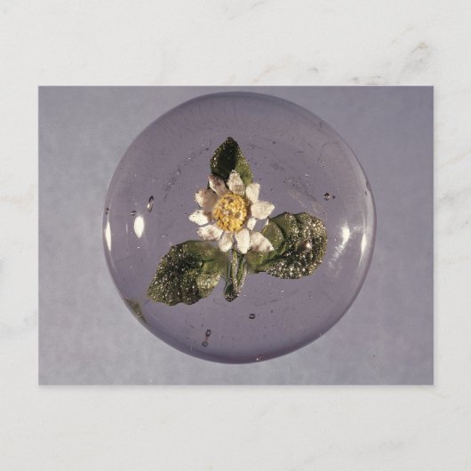 Paperweight, Pantin Workshop, c.1850 Briefkaart (Voorkant)