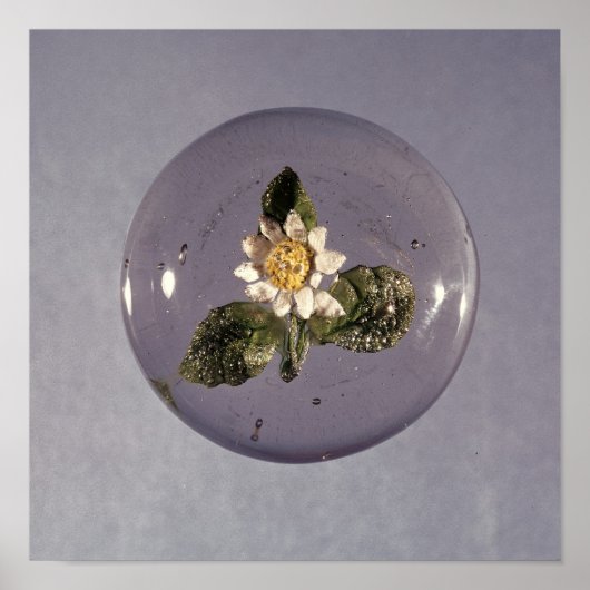 Paperweight, Pantin Workshop, c.1850 Poster (Voorkant)