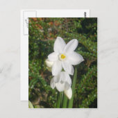 Paperwhite Briefkaart (Voorkant / Achterkant)