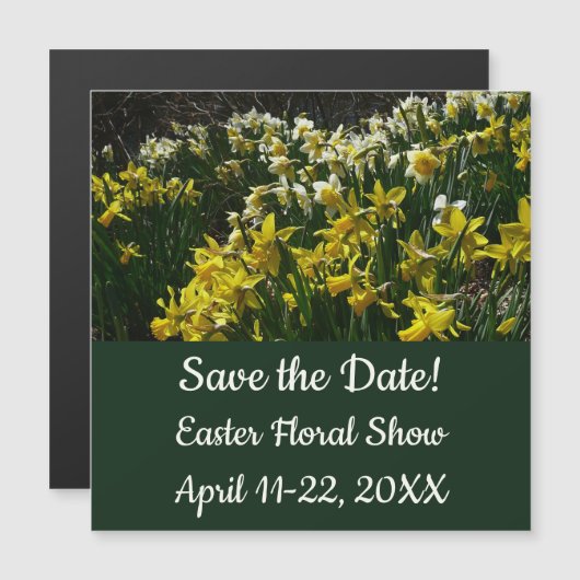 Paperwhite Narcissus Delicate White Flowers (Voorkant / Achterkant)