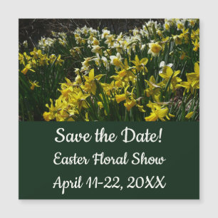 Paperwhite Narcissus Delicate White Flowers