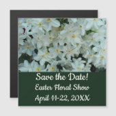 Paperwhite Narcissus Delicate White Flowers (Voorkant / Achterkant)