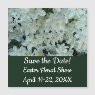 Paperwhite Narcissus Delicate White Flowers