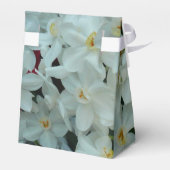 Paperwhite Narcissus Delicate White Flowers Bedankdoosjes (Achterkant)