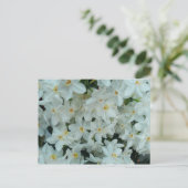 Paperwhite Narcissus Delicate White Flowers Briefkaart (Staand voorkant)