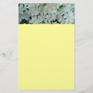 Paperwhite Narcissus Delicate White Flowers Briefpapier