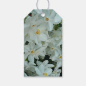 Paperwhite Narcissus Delicate White Flowers Cadeaulabel (Voorkant)