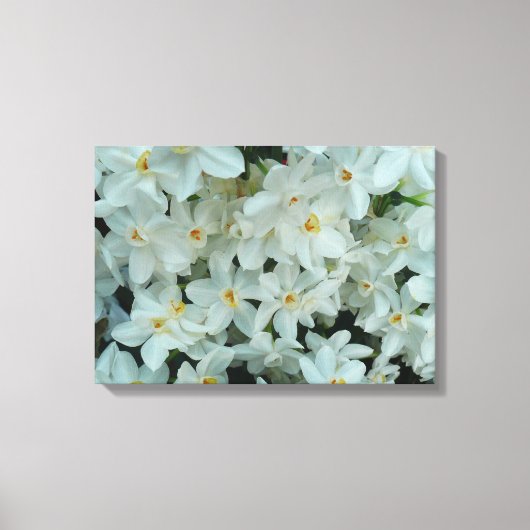 Paperwhite Narcissus Delicate White Flowers Canvas Afdruk (Voorkant)