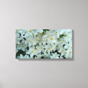 Paperwhite Narcissus Delicate White Flowers Canvas Afdruk