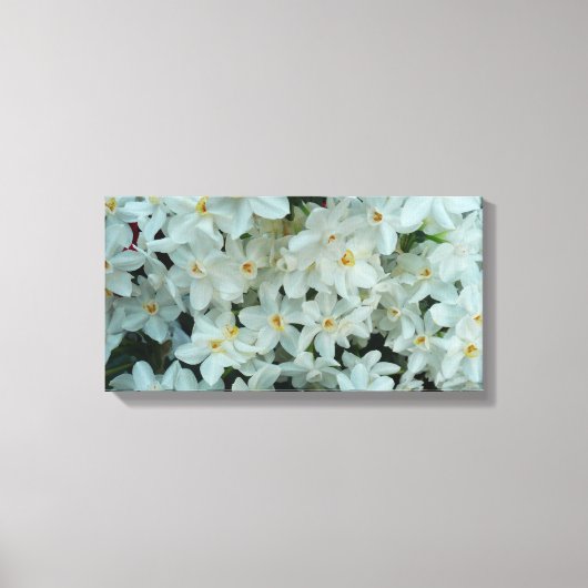 Paperwhite Narcissus Delicate White Flowers Canvas Afdruk (Voorkant)