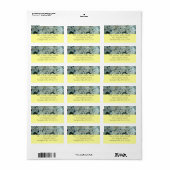 Paperwhite Narcissus Delicate White Flowers Etiket (Full Sheet)
