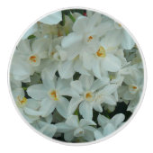 Paperwhite Narcissus Delicate White Flowers Keramische Knop (Voorkant)