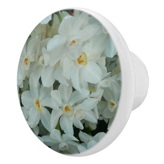 Paperwhite Narcissus Delicate White Flowers Keramische Knop (Rechts)