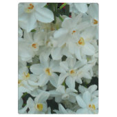 Paperwhite Narcissus Delicate White Flowers Klembord (Achterkant)