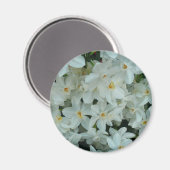 Paperwhite Narcissus Delicate White Flowers Magneet (Voorkant / Achterkant)