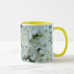 Paperwhite Narcissus Delicate White Flowers Mok