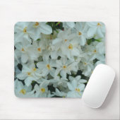 Paperwhite Narcissus Delicate White Flowers Muismat (Met muis)