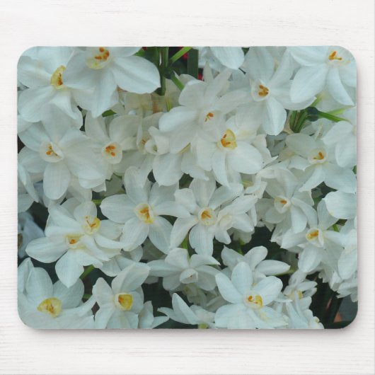 Paperwhite Narcissus Delicate White Flowers Muismat (Voorkant)