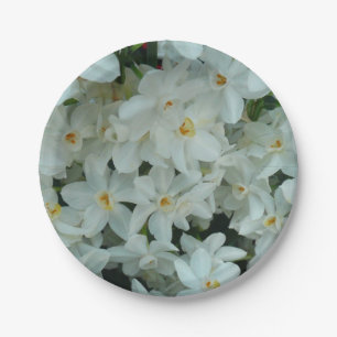 Paperwhite Narcissus Delicate White Flowers Papieren Bordje
