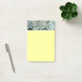 Paperwhite Narcissus Delicate White Flowers Post-it® Notes (Kantoor)